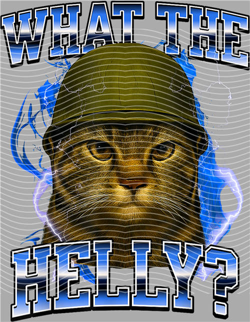 Tung Tung sahur-TT 62